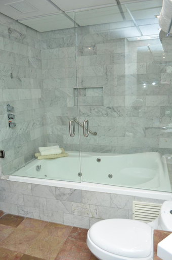 Bathroom 5, Royal Pedregal Hotel, Mexico City