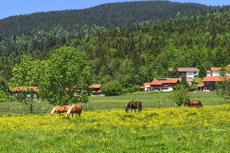 Others 5, Chalet Chiemgau, Inzell, Traunstein
