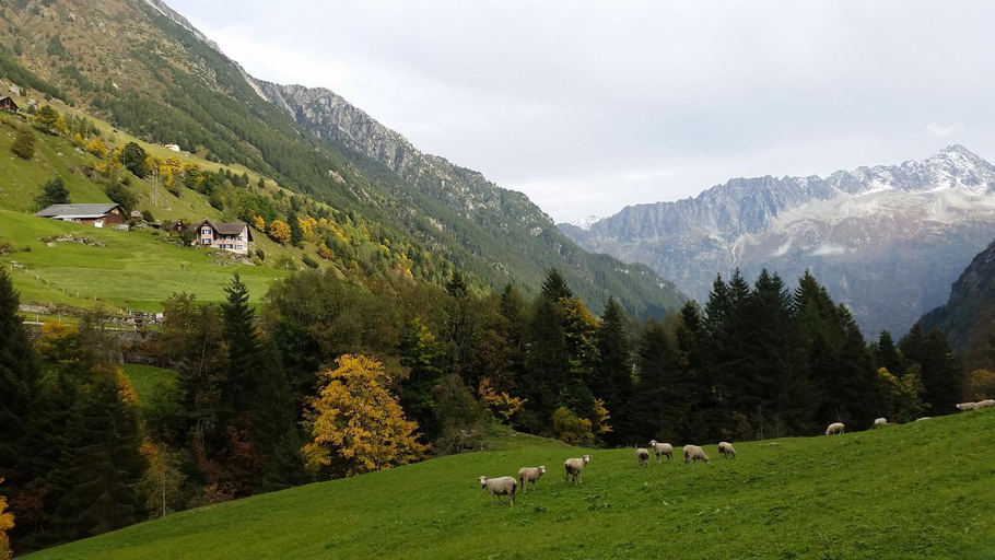 Others 2, Gastehaus Alpengluhn, Uri