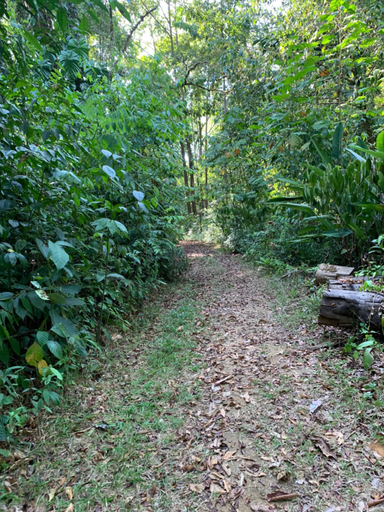 Others 4, Paraisoverde-Corcovado Over Night