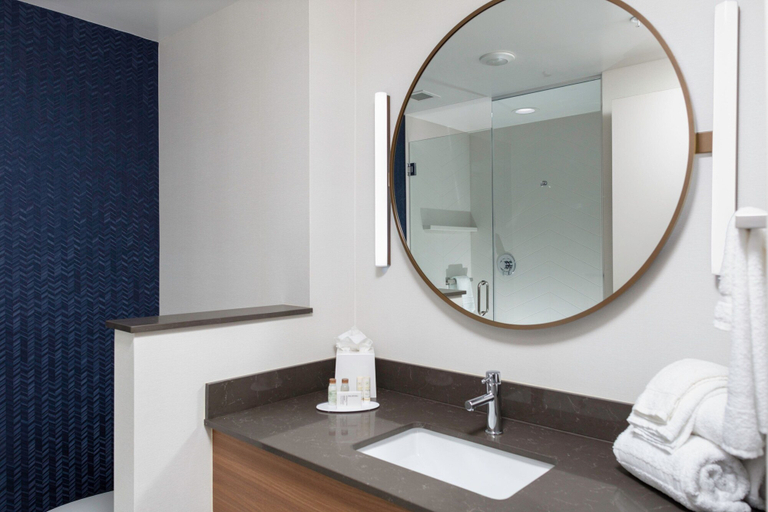 Bathroom 4, Fairfield Inn & Suites by Marriott Atlanta Marietta, Cobb