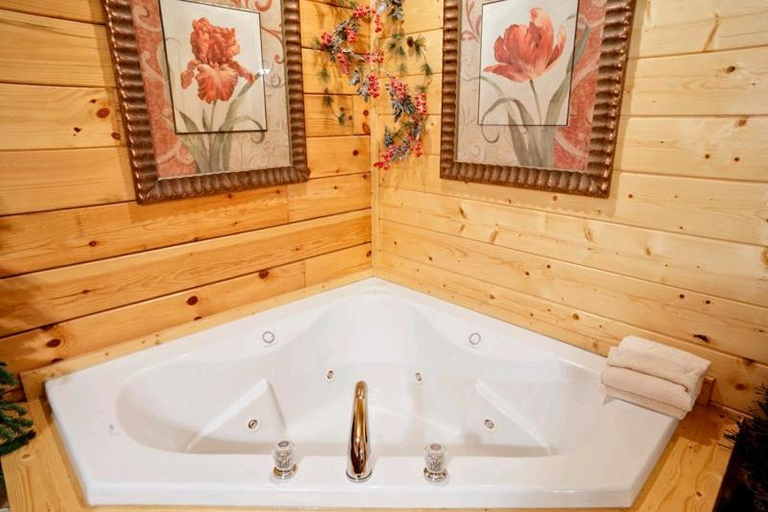 Bathroom, Call of the Wild, Sevier