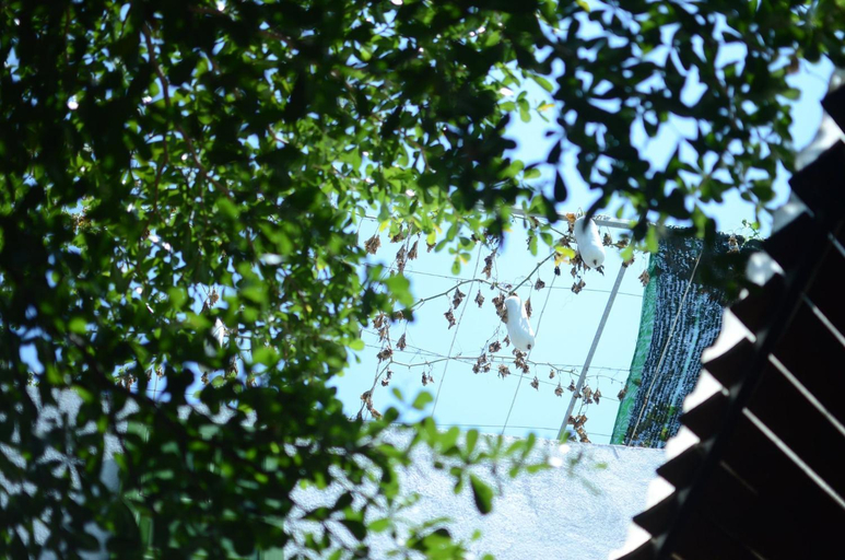 Others 2, NAM AY HOMESTAY, Tuy Hoa