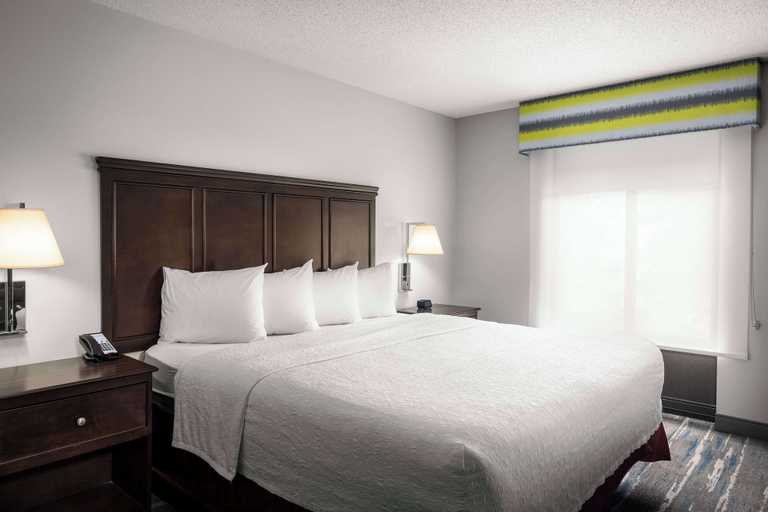 Bedroom 3, Hampton Inn & Suites Birmingham/280 East-Eagle Point, Shelby
