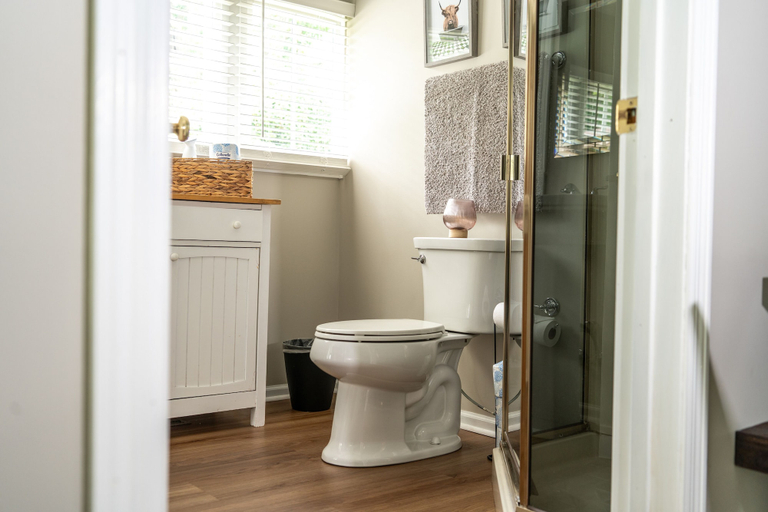 Bathroom 4, Vida del Lago, Walworth