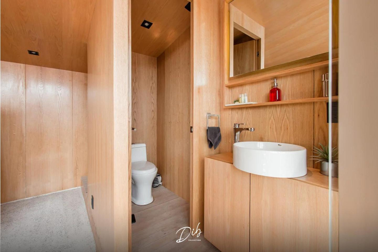 Bathroom, Dib Collection, Mexico City