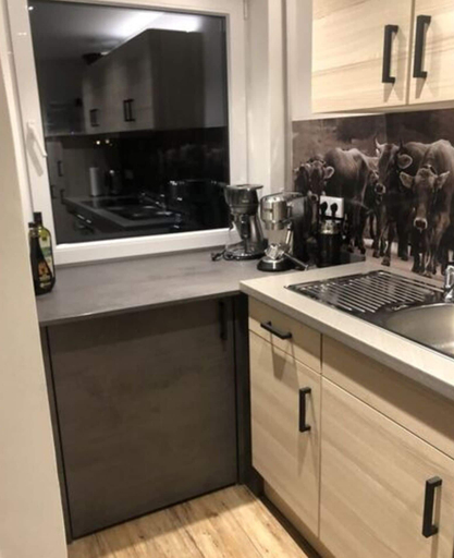 Private kitchen 5, Nice Holiday Apartment in Fischen, Oberallgäu