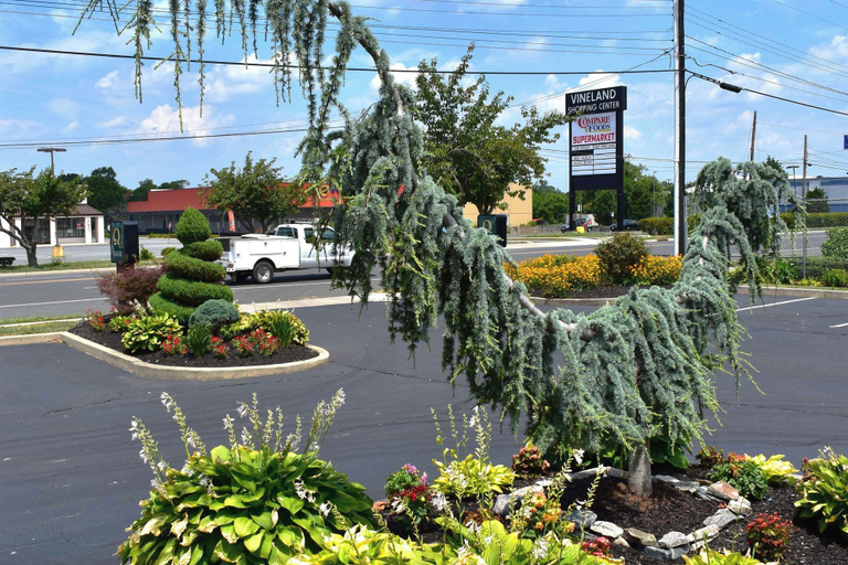 Others 5, Quality Inn Vineland, Cumberland