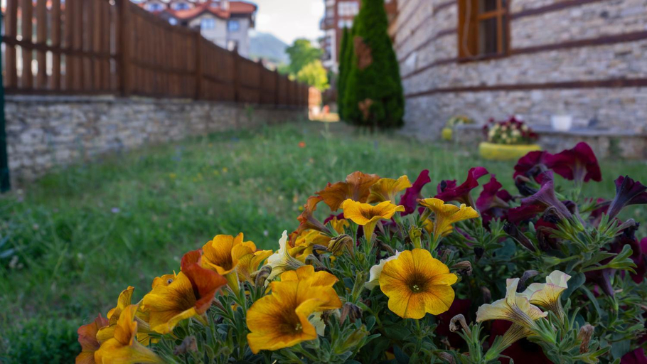 Others 5, Two bedroom apartments in Murphys Lodge, Bansko