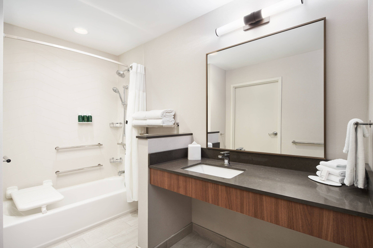 Bathroom 4, Fairfield Inn & Suites by Marriott Tampa Riverview, Hillsborough