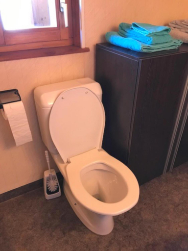 Bathroom 2, Le Biolley 2, Entremont