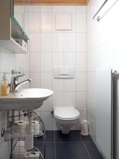 Bathroom 3, Hotel Gletscherblick, Interlaken