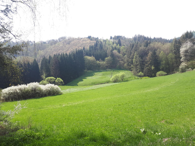 Others 2, Herberg Die alte Schleuse, Bernkastel-Wittlich
