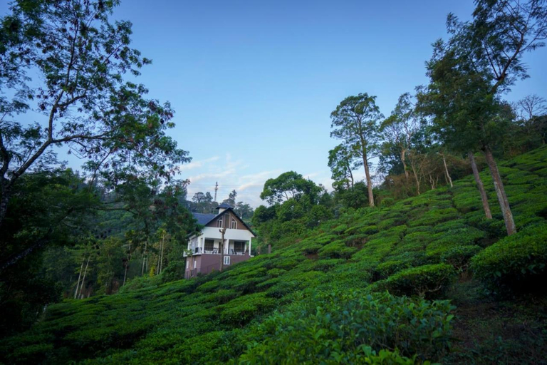 Others 4, Teaberg Estate Haus, Idukki