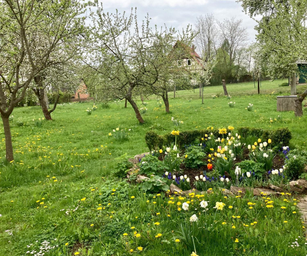 Others 2, Forsthaus in Waldhessen, Hersfeld-Rotenburg