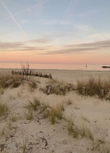 Beach, Old Tenne Under Reet in a Single Position, Schleswig-Flensburg