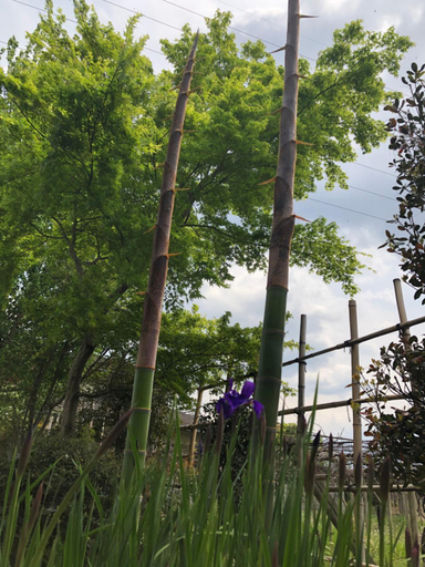 Others 4, フクロウの御宿 春日居館, Fuefuki