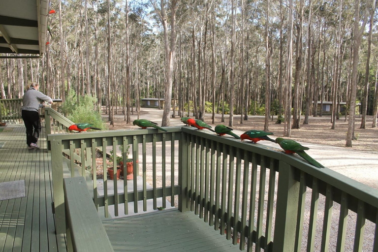 Others 2, Lakes Entrance Log Cabins, E. Gippsland - Orbost