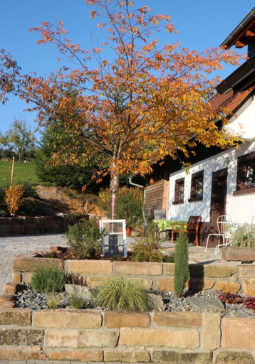 Property grounds 2, Apartment on the Isenmann Fruit Farm, Ortenaukreis