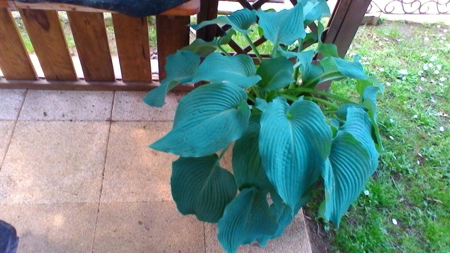 Others 3, Le Clos des Palombes WIFI CLIMATISATION, Landes