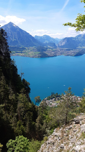 Exterior & Views 5, Chalet Lilo 2 Zimmer top mountain view, Interlaken