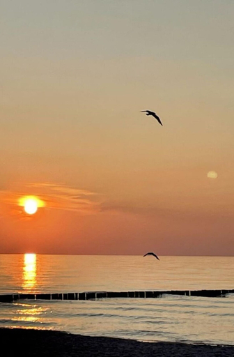 View from property 4, Marina del Mar Zingst, Vorpommern-Rügen