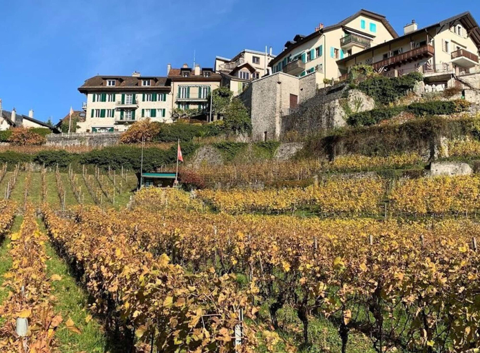Exterior 2, La Vigneronne, Uitzicht op het Meer, Arlesheim