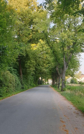 Miscellaneous, Holiday Apartment on the Lindenallee, Osnabrück
