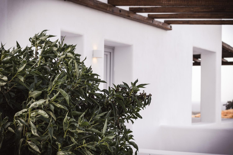 Others 5, Bianco Diverso Suites, South Aegean