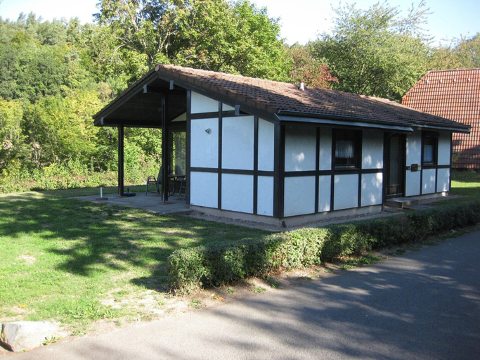 Primary image