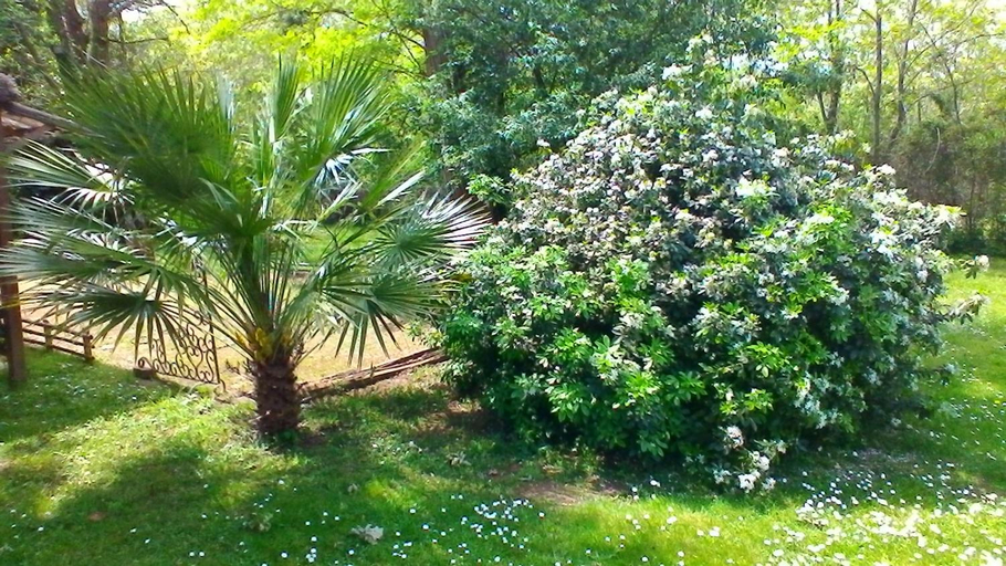 Others 5, Le Clos des Palombes WIFI CLIMATISATION, Landes