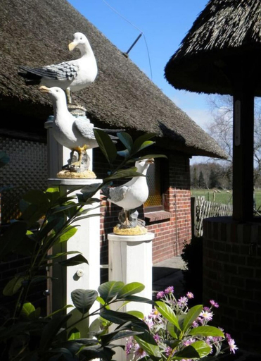 Property grounds, Strandnelke Modern Retreat, Wesermarsch
