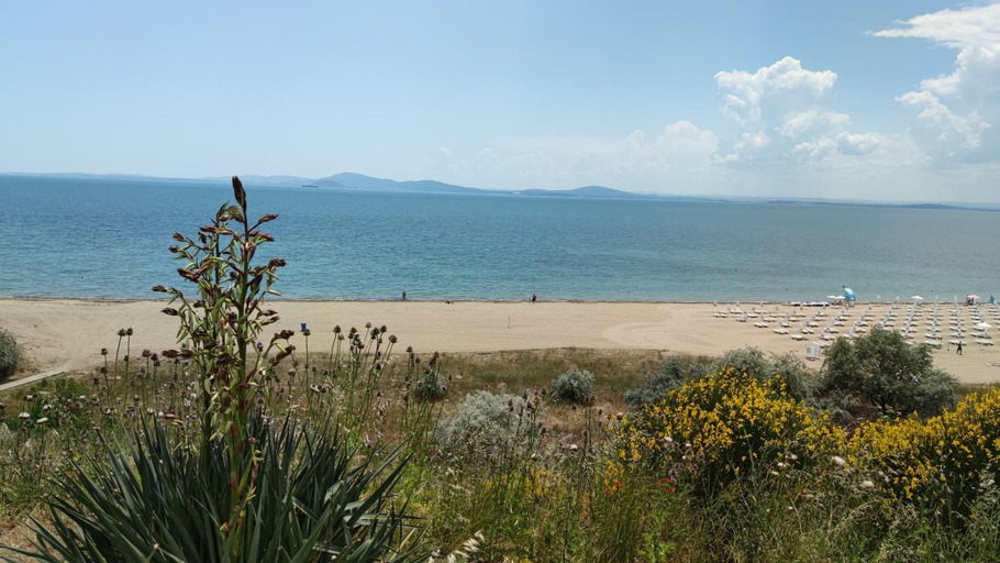 Others 5, Day Dream, Burgas