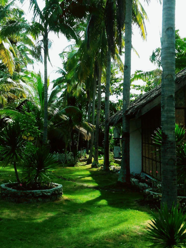Others 4, Teobas Homestay, Moalboal