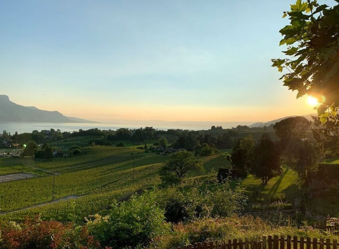 Miscellaneous, La Vigneronne, Tuin, Pays-d'Enhaut
