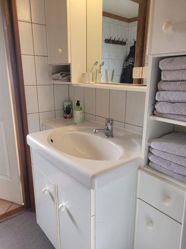 Bathroom 3, De Blauwe Reiger mooi dubbel chalet in de Veluwse bossen, Putten