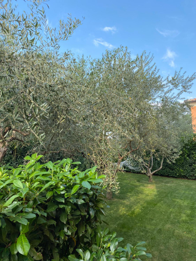 Garden 4, Villa Eva Karigador, Brtonigla