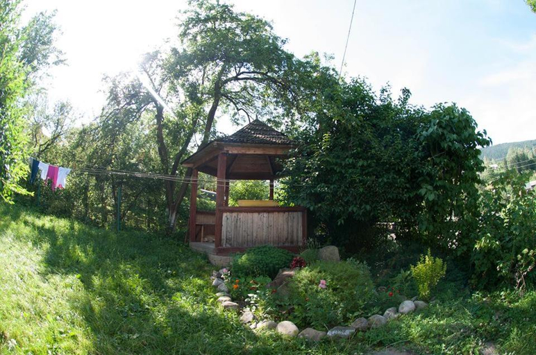 Surrounding environment