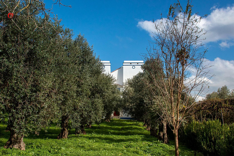 Quinta da Fortaleza, Elvas