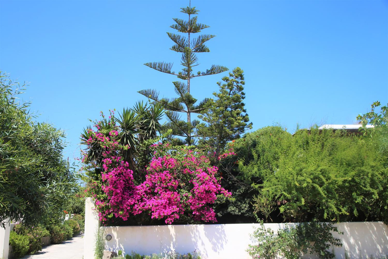 Others 5, Pension Ioanna, South Aegean