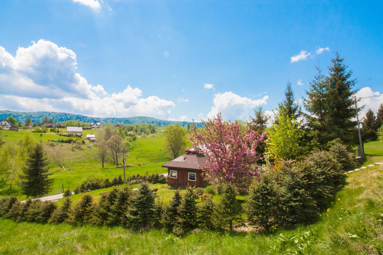 Others 3, HELENOWO, Bieszczady