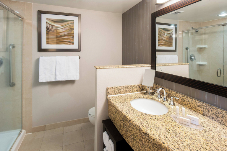 Bathroom 4, Courtyard Jacksonville Orange Park, Clay