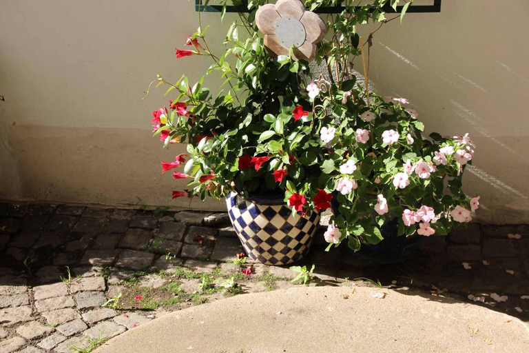 Others 5, Hotel Gasthof Zum weissen Lamm, Wunsiedel im Fichtelgebirge