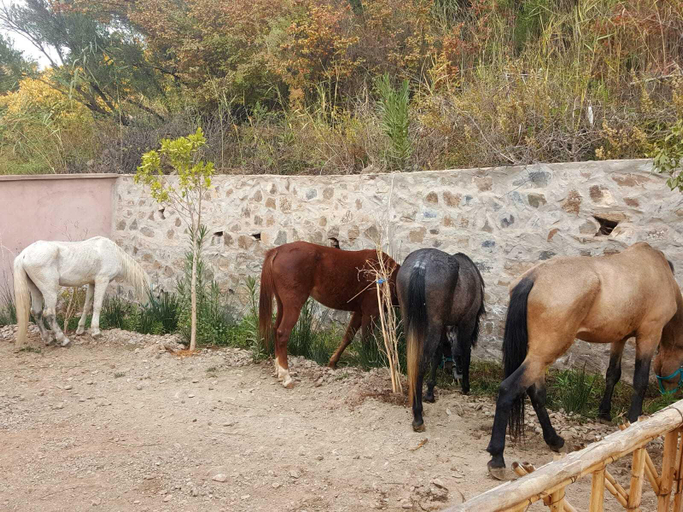 Others 4, La Fattoria Ecolodge, Al Haouz