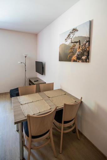 Others 4, Apartmany pod Jerabem, Sanov 67, Cervena Voda, Ústí nad Orlicí