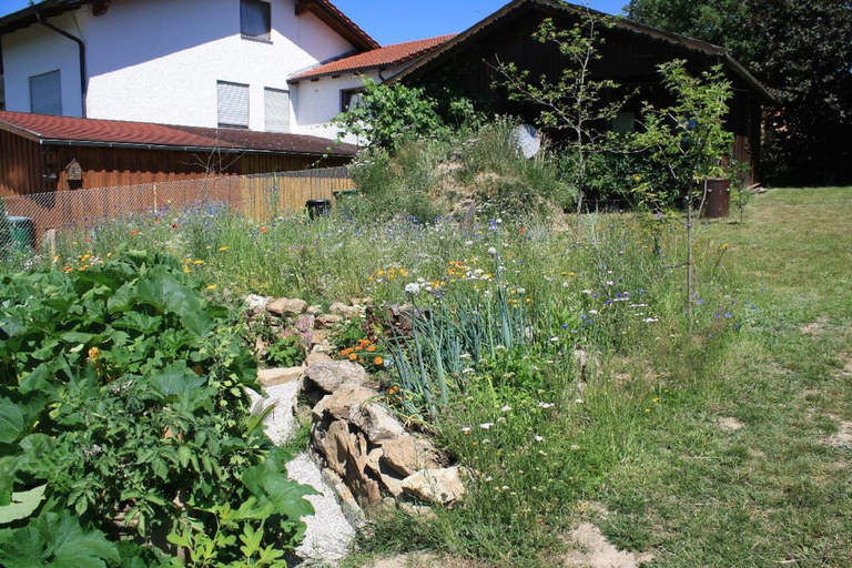 Others 3, Naturspiel, Cham