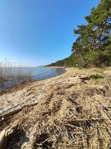 Others 4, Apartamenty Pod Debem (Ferienwohnungen an der uralten Eiche), Kamień