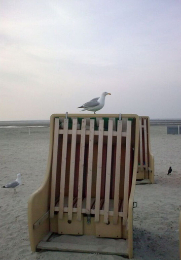 Beach 4, Holiday Home Weisse Robbe, Wittmund