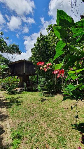 Others 3, Amazona Lodge, Leticia