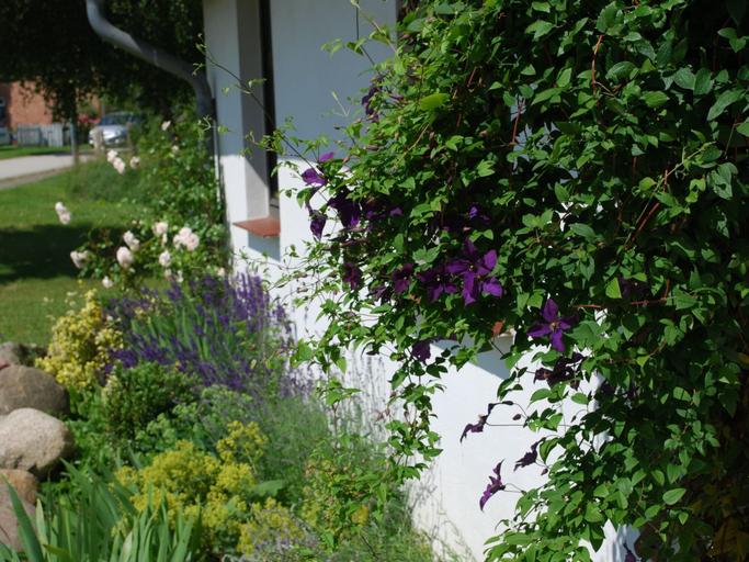 Others 5, Wohnung in Dargun mit Garten, Mecklenburgische Seenplatte